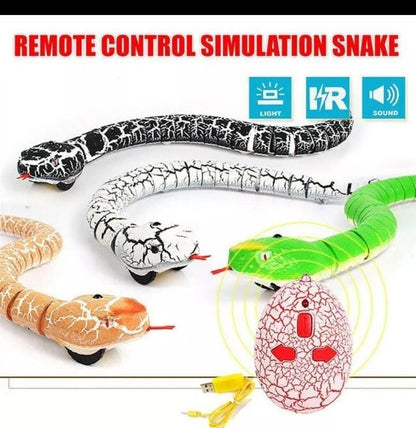 REMOTE CONTROL SIMULATION SNAKE