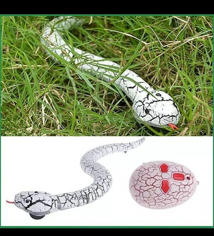 REMOTE CONTROL SIMULATION SNAKE