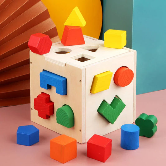 15 Hole Shape Intelligence Box